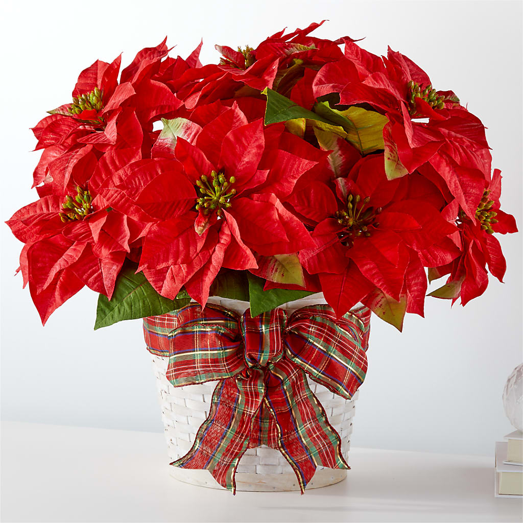 Happiest Holidays Poinsettia – COBORN'S INC FLORAL SHOPPES, Saint Cloud MN