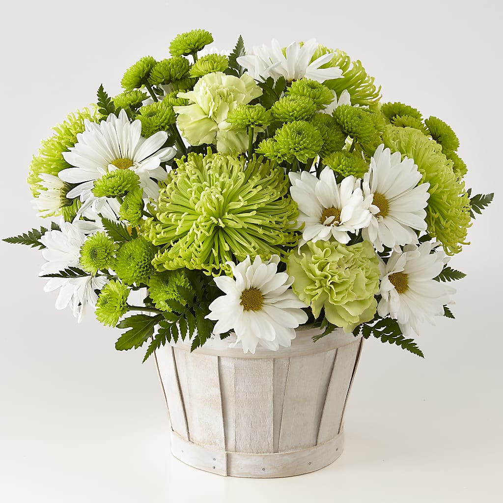 Lucky Charm Basket (Standard) – COBORN'S INC FLORAL SHOPPES, Saint Cloud MN