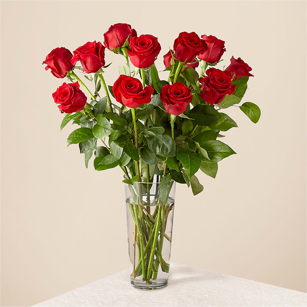 Long Stem Red Rose Bouquet – COBORN'S INC FLORAL SHOPPES, Saint Cloud MN