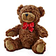 Adorable Plush Bear – COBORN'S INC FLORAL SHOPPES, Saint Cloud MN