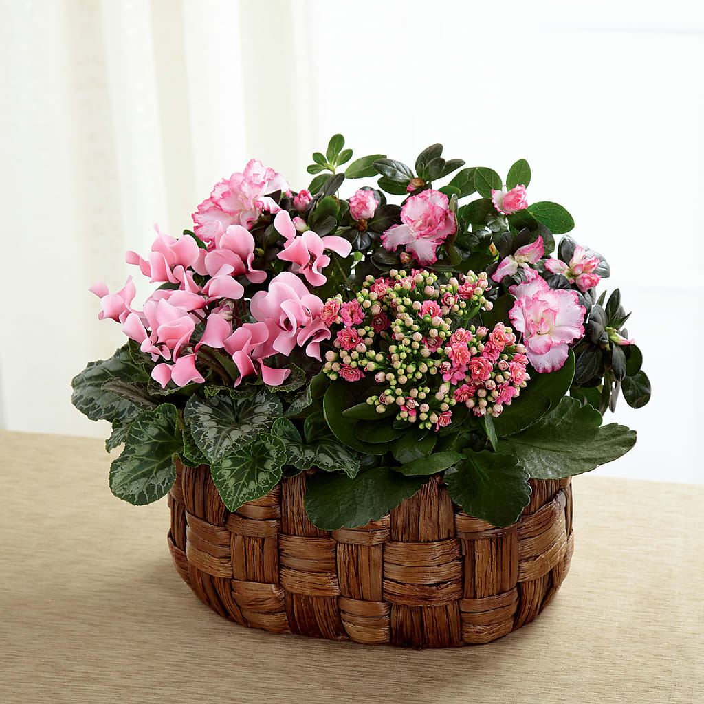 Pink Assortment – COBORN'S INC FLORAL SHOPPES, Saint Cloud MN