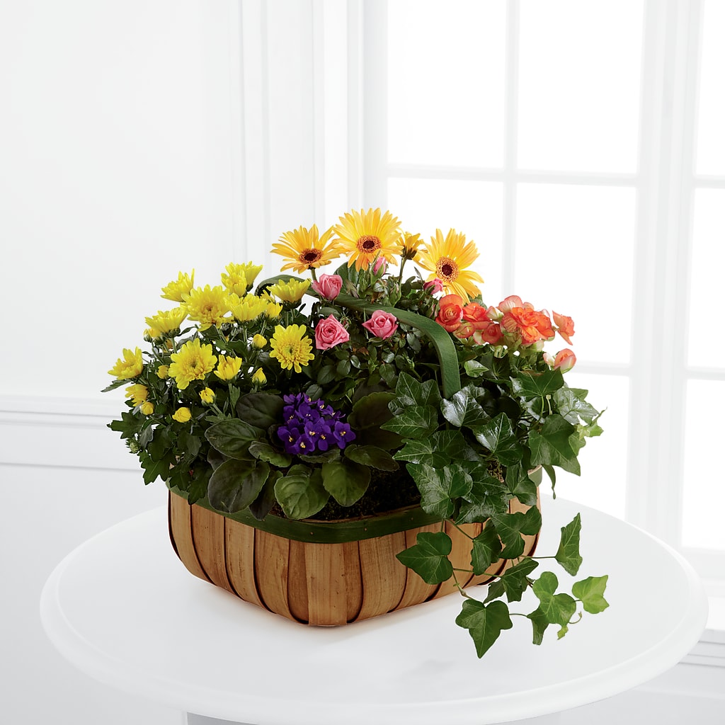 Gentle Blossoms Basket – COBORN'S INC FLORAL SHOPPES, Saint Cloud MN