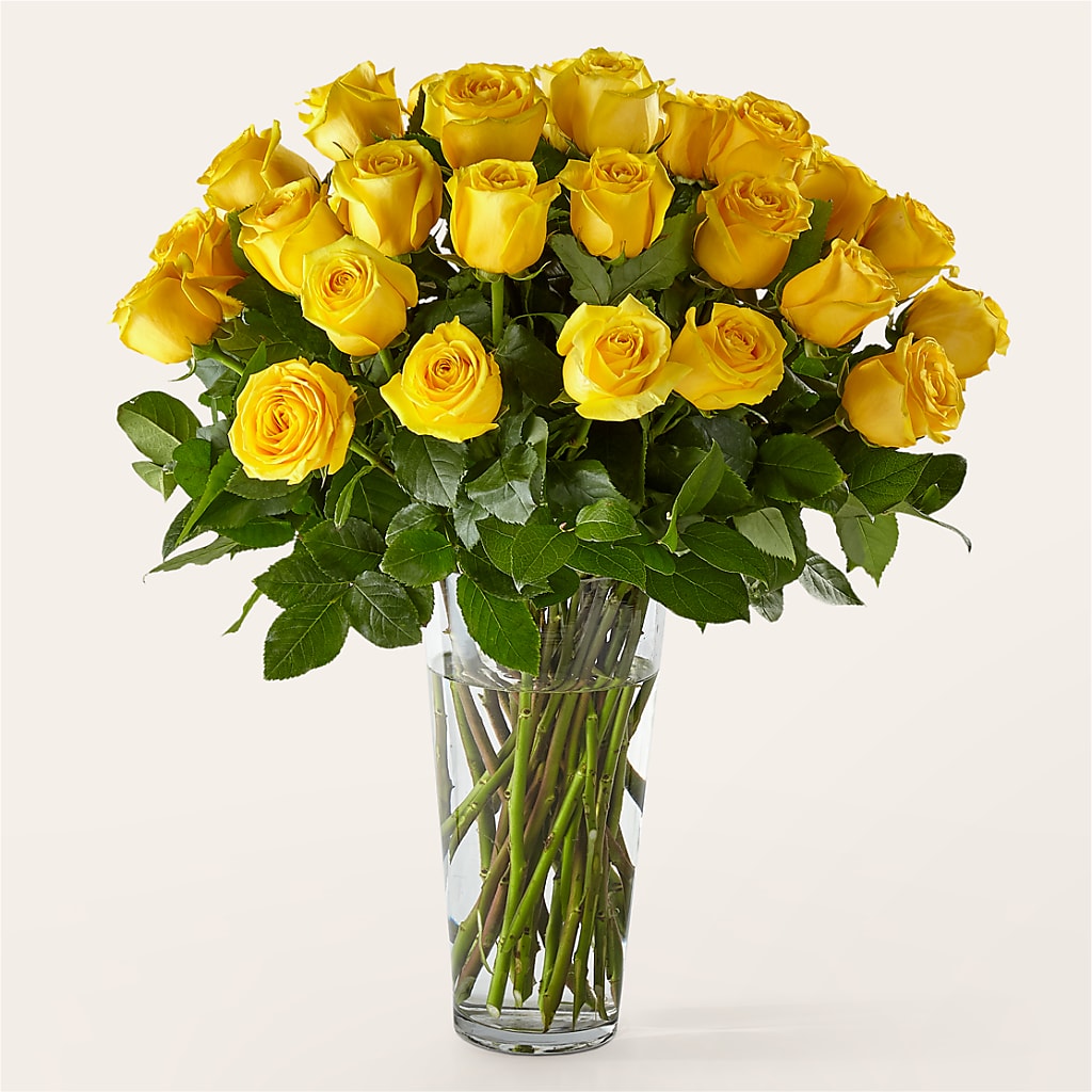 Long Stem Yellow Rose Bouquet – COBORN'S INC FLORAL SHOPPES, Saint Cloud MN