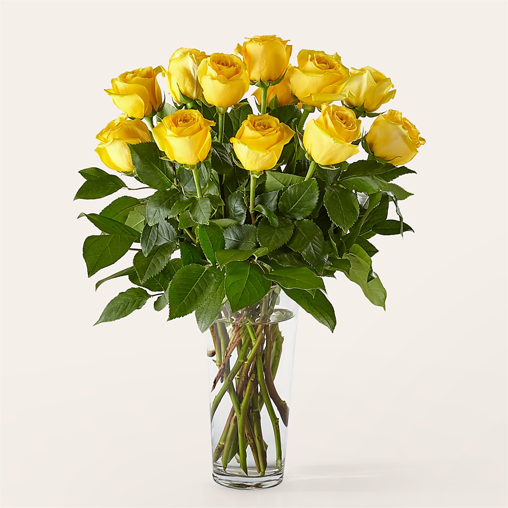 Long Stem Yellow Rose Bouquet – COBORN'S INC FLORAL SHOPPES, Saint Cloud MN