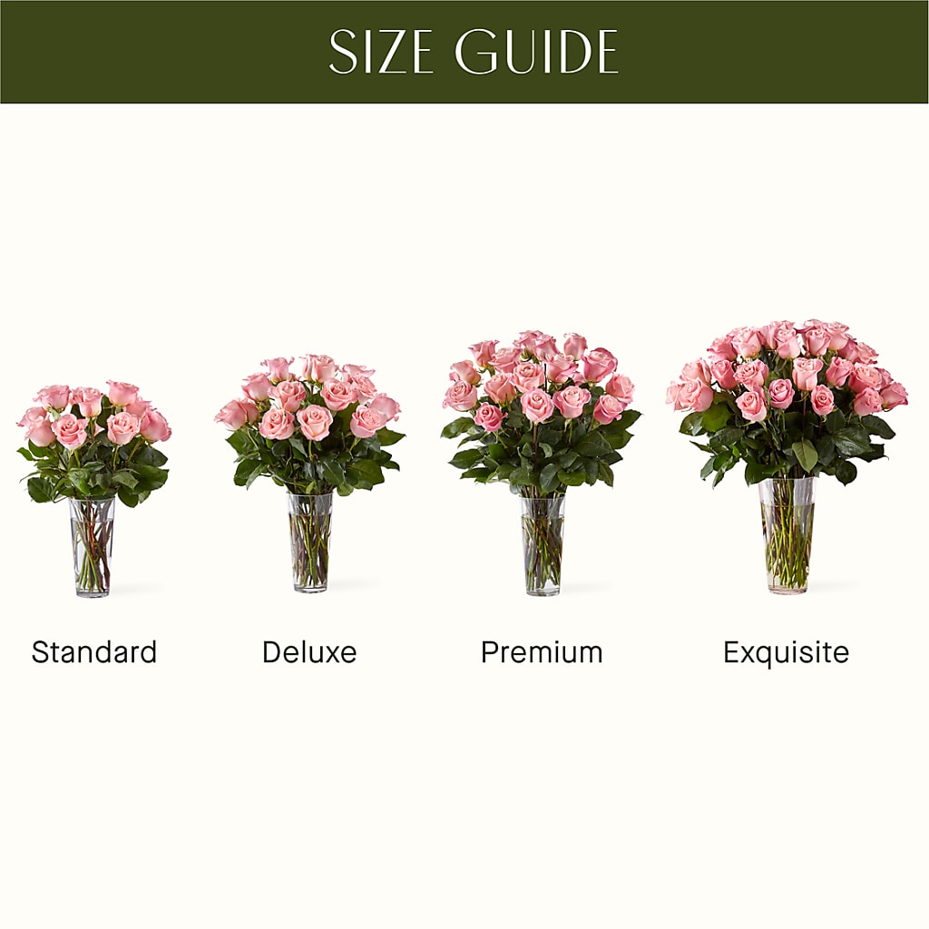 Long Stem Pink Rose Bouquet – COBORN'S INC FLORAL SHOPPES, Saint Cloud MN