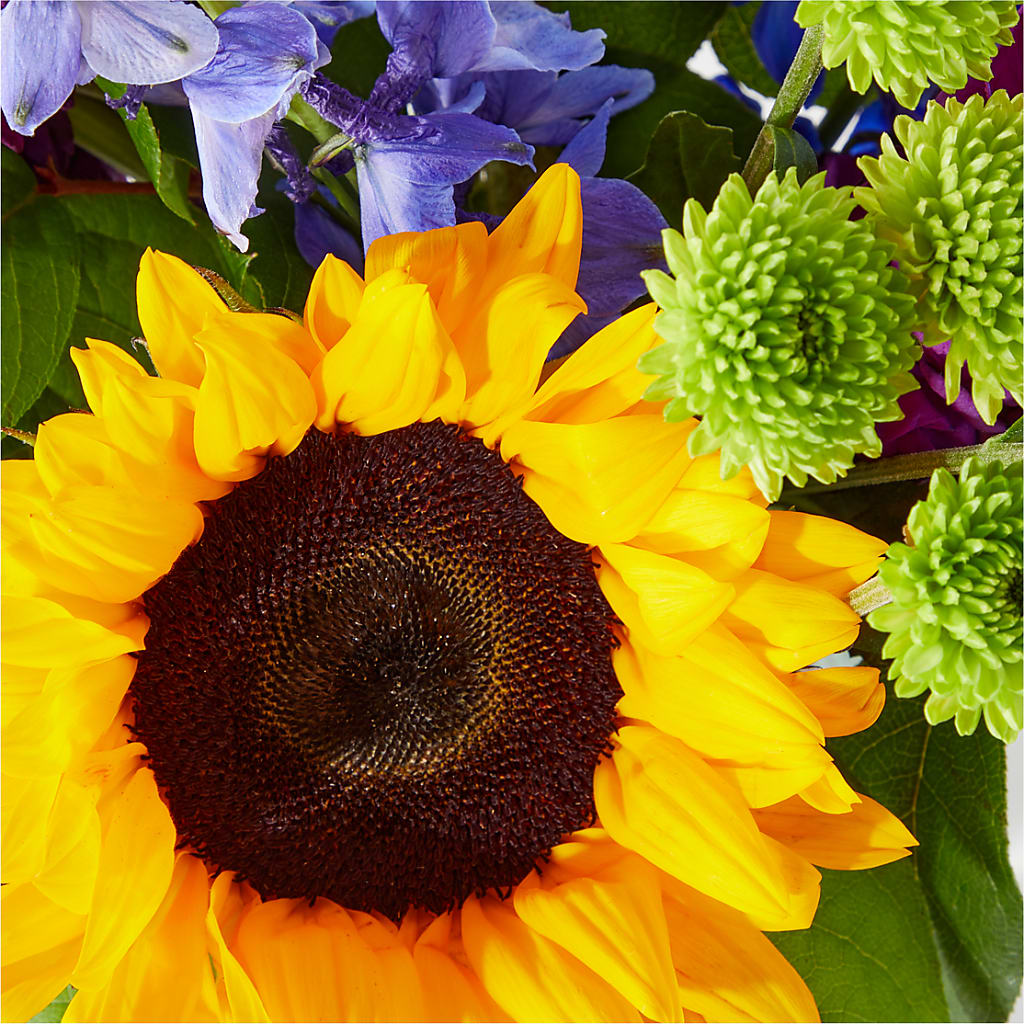 Catching Rays Bouquet – COBORN'S INC FLORAL SHOPPES, Saint Cloud MN