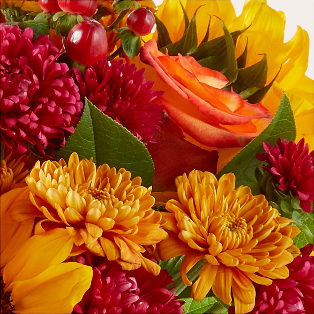 Sweater Season - A Florist Original – COBORN'S INC FLORAL SHOPPES, Saint Cloud MN