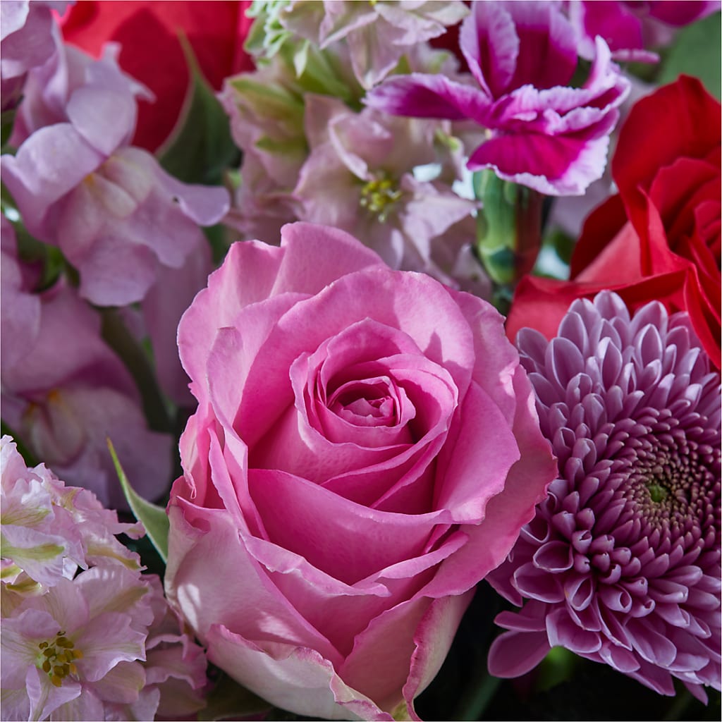 Better Together - A Luxury Florist Original – COBORN'S INC FLORAL SHOPPES, Saint Cloud MN