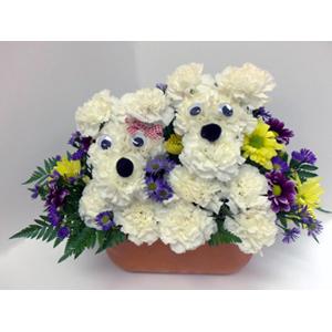 Puppy Love – COBORN'S INC FLORAL SHOPPES, Saint Cloud MN