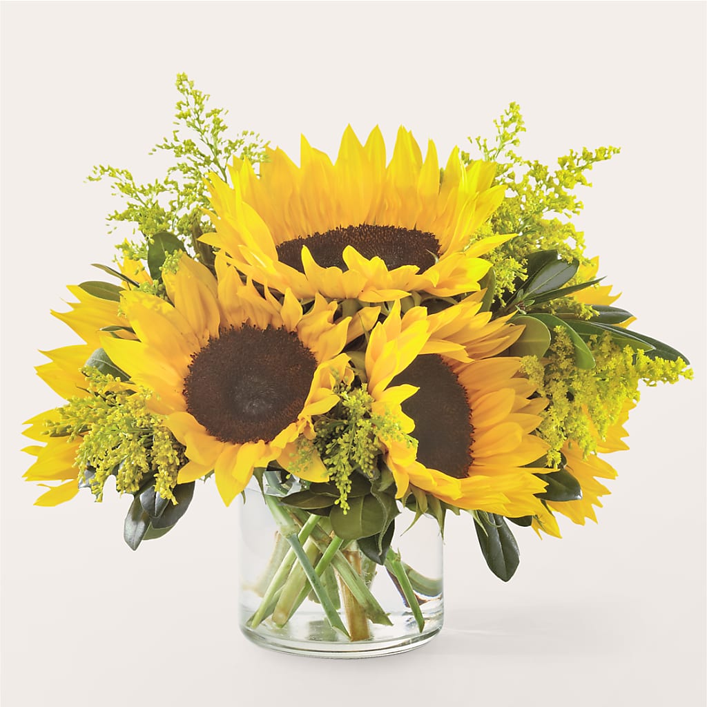 Beaming Sunflower Bouquet – COBORN'S INC FLORAL SHOPPES, Saint Cloud MN