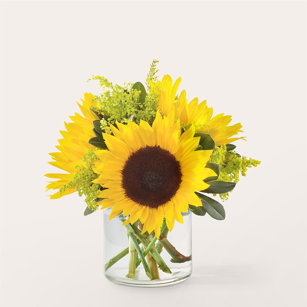 Beaming Sunflower Bouquet – COBORN'S INC FLORAL SHOPPES, Saint Cloud MN