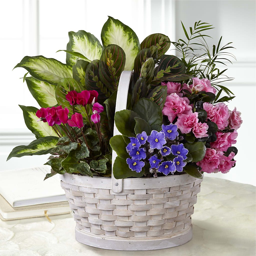 Peaceful Garden Planter – COBORN'S INC FLORAL SHOPPES, Saint Cloud MN