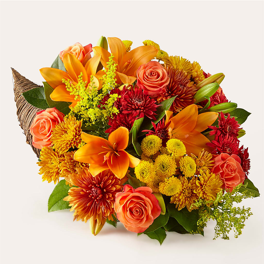 Feast of Color Cornucopia – COBORN'S INC FLORAL SHOPPES, Saint Cloud MN
