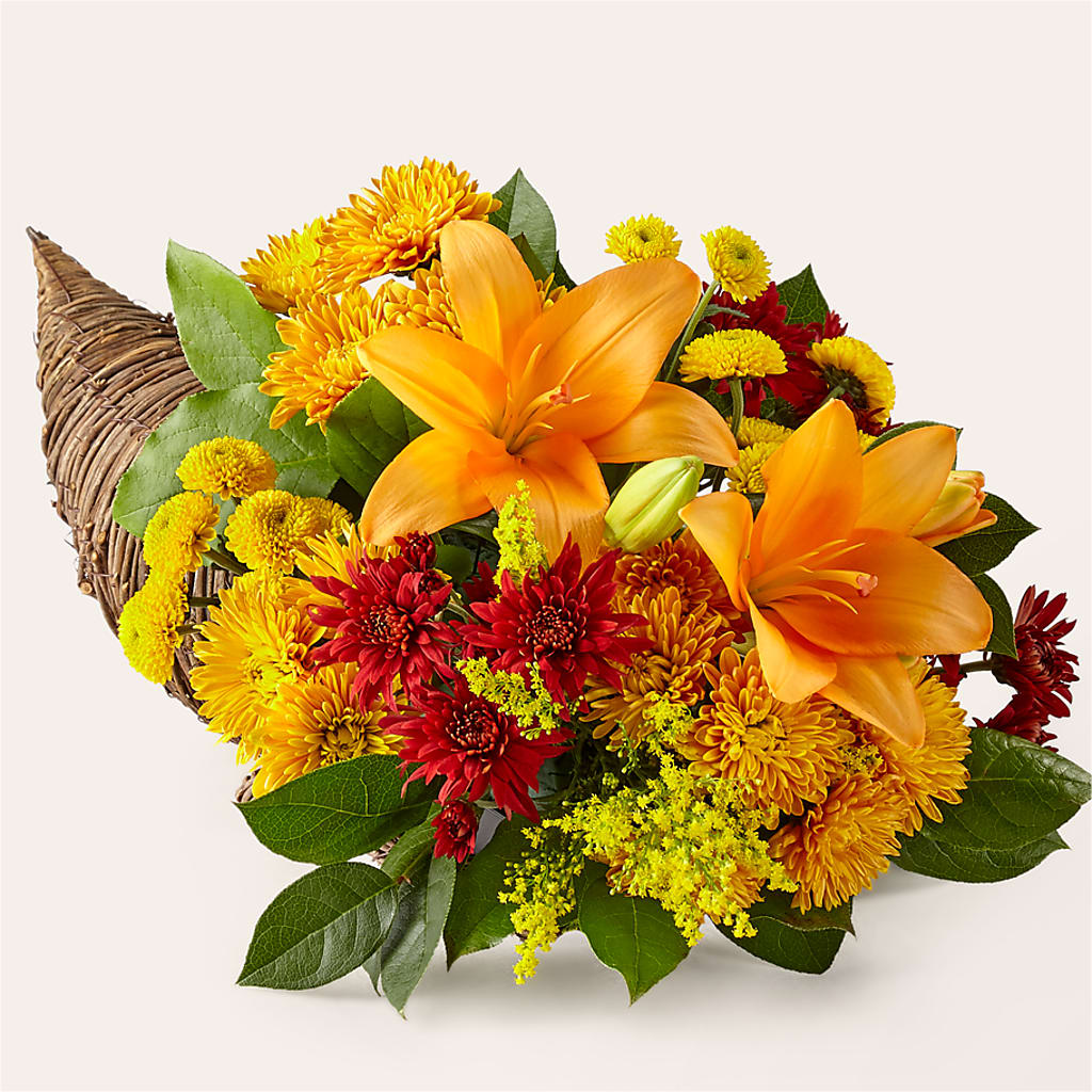 Feast of Color Cornucopia – COBORN'S INC FLORAL SHOPPES, Saint Cloud MN