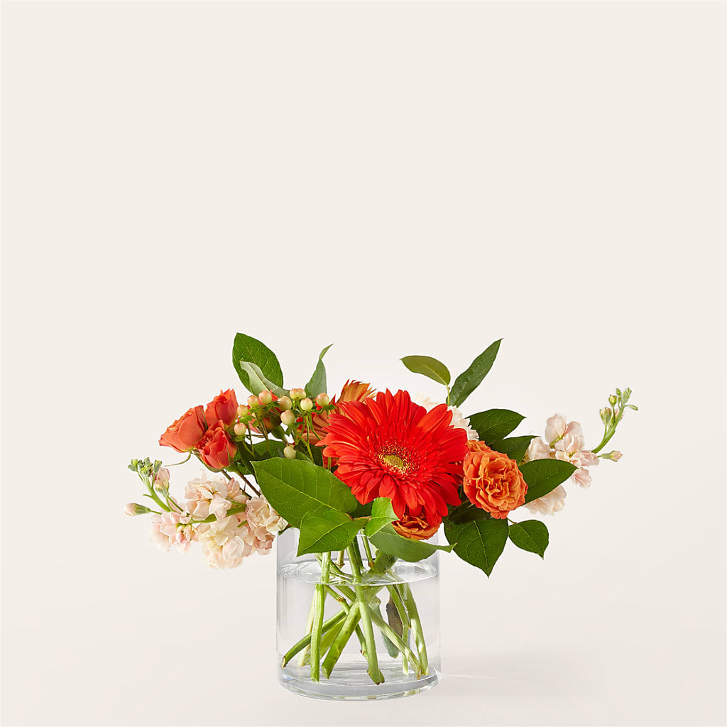 Paloma Please Bouquet – COBORN'S INC FLORAL SHOPPES, Saint Cloud MN