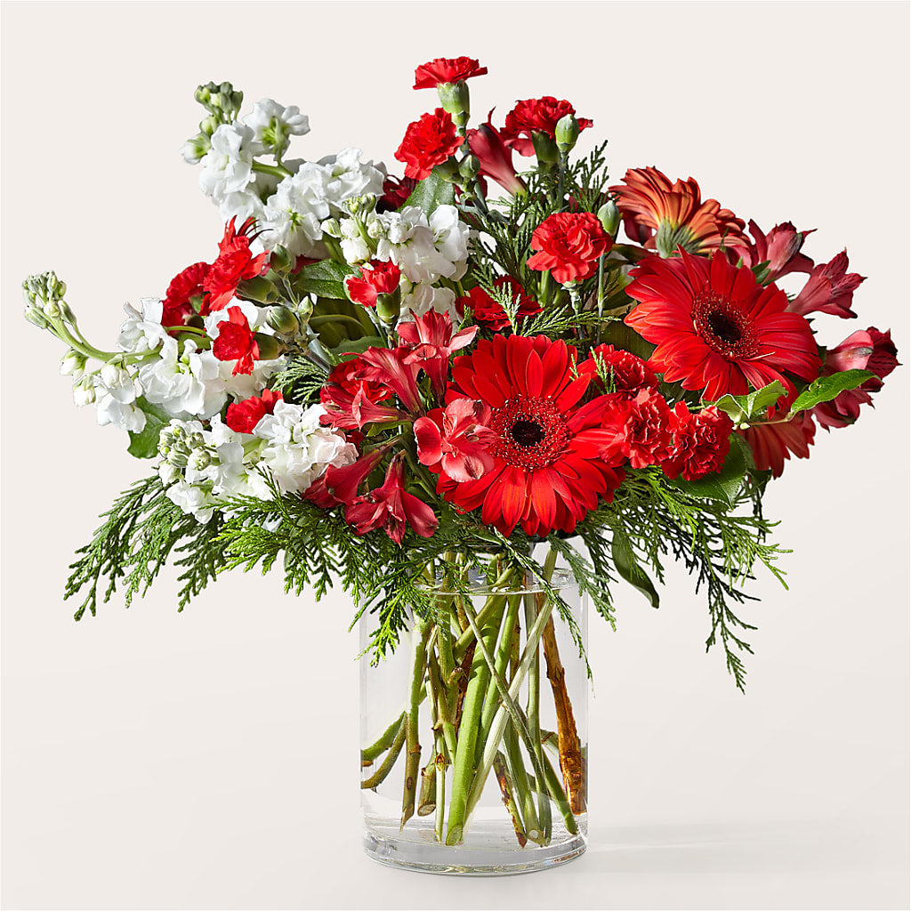 Holidaisy Bouquet – COBORN'S INC FLORAL SHOPPES, Saint Cloud MN