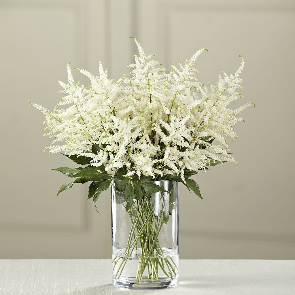 White Astilbe Bouquet – COBORN'S INC FLORAL SHOPPES, Saint Cloud MN