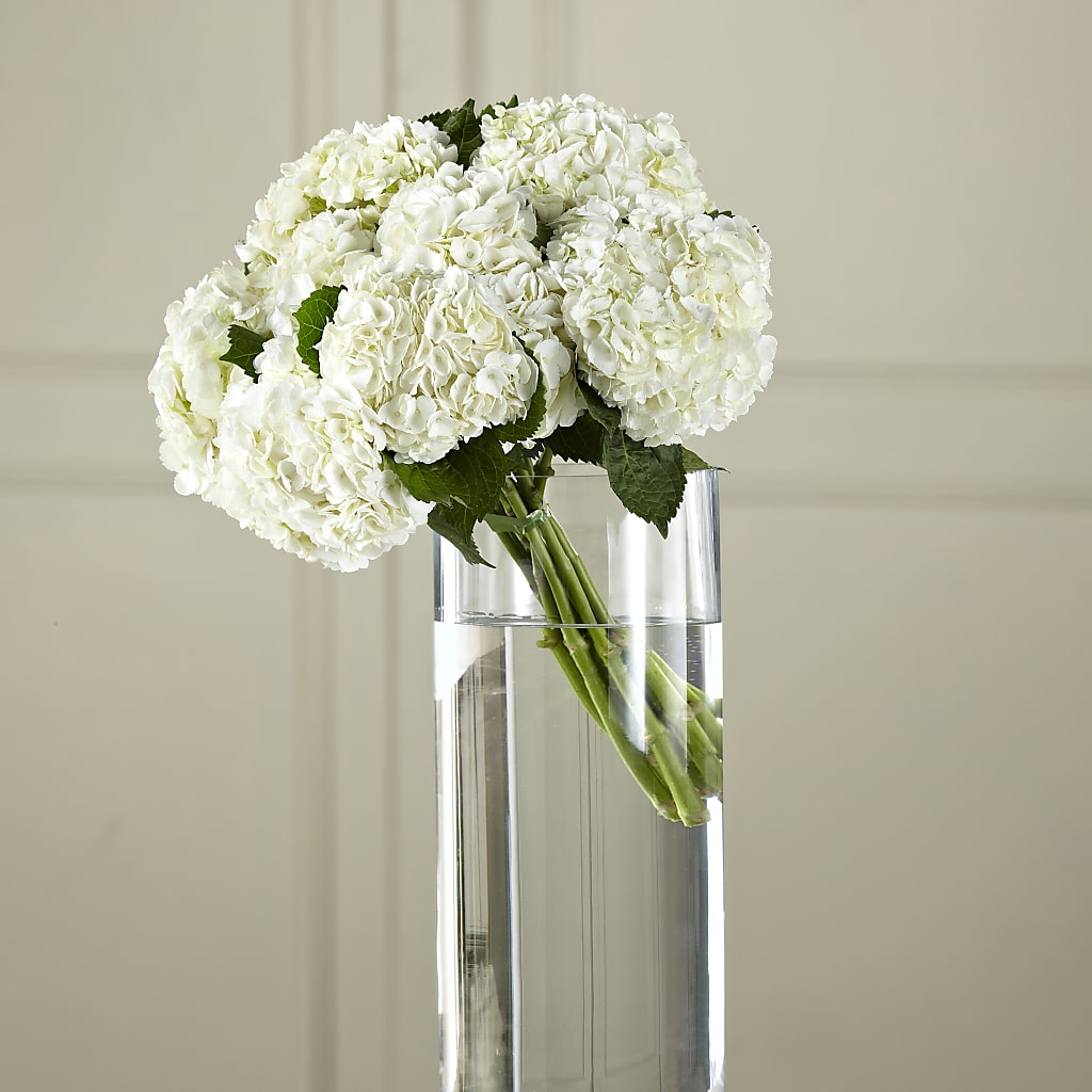 White Hydrangea Hand-Tied Bouquet – COBORN'S INC FLORAL SHOPPES, Saint Cloud MN