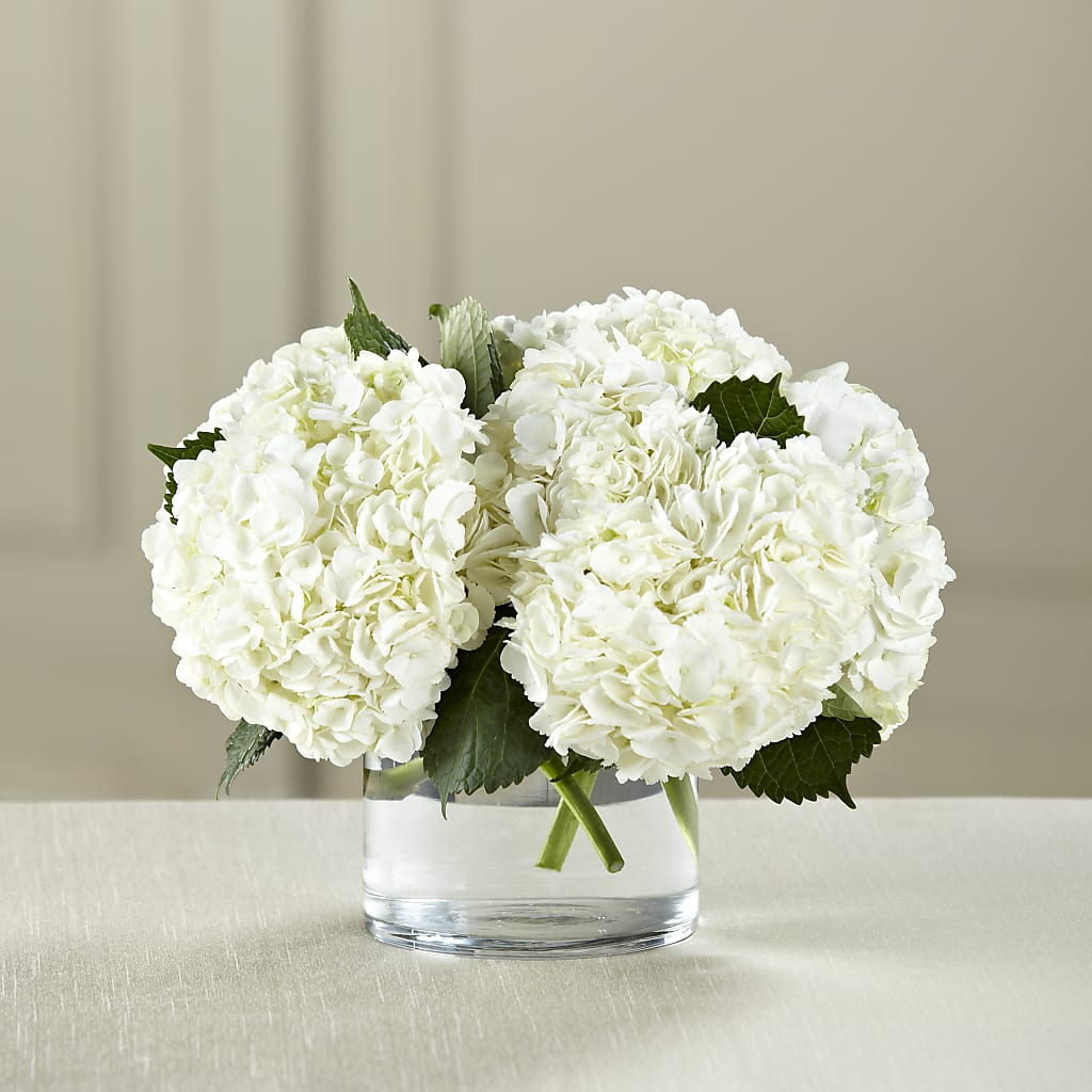 White Hydrangea Bouquet – COBORN'S INC FLORAL SHOPPES, Saint Cloud MN