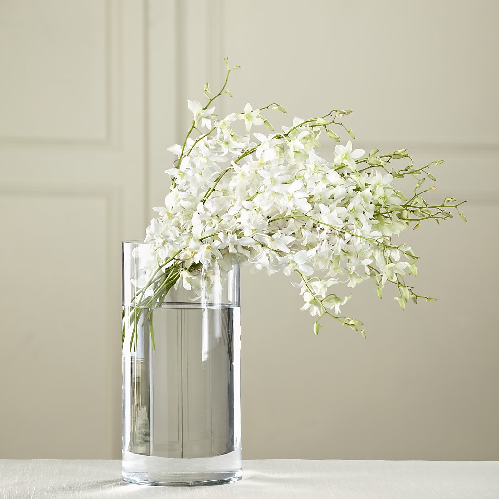 White Dendrobium Bouquet – COBORN'S INC FLORAL SHOPPES, Saint Cloud MN