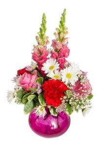 Roly Poly – COBORN'S INC FLORAL SHOPPES, Saint Cloud MN
