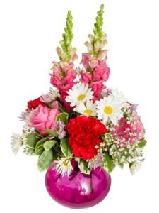 Valentine's Roly Poly – COBORN'S INC FLORAL SHOPPES, Saint Cloud MN