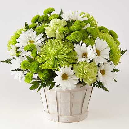 Lucky Charm Basket (Standard) – COBORN'S INC FLORAL SHOPPES, Saint Cloud MN