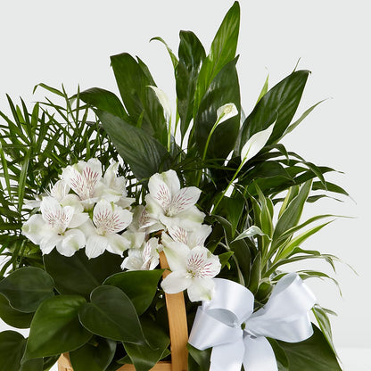 Peace & Serenity Dishgarden – COBORN'S INC FLORAL SHOPPES, Saint Cloud MN