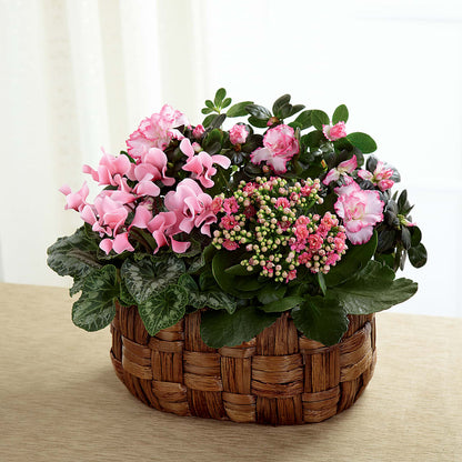 Pink Assortment – COBORN'S INC FLORAL SHOPPES, Saint Cloud MN