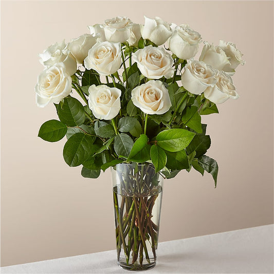 Long Stem White Rose Bouquet – COBORN'S INC FLORAL SHOPPES, Saint Cloud MN