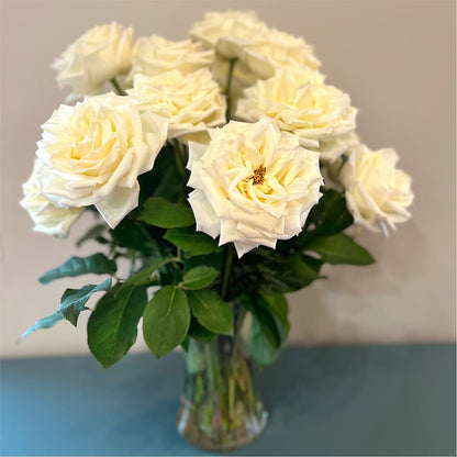 Long Stem Yellow Rose Bouquet – COBORN'S INC FLORAL SHOPPES, Saint Cloud MN