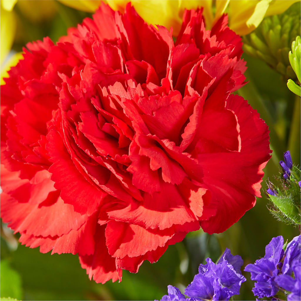 Brighter Days Bouquet – COBORN'S INC FLORAL SHOPPES, Saint Cloud MN