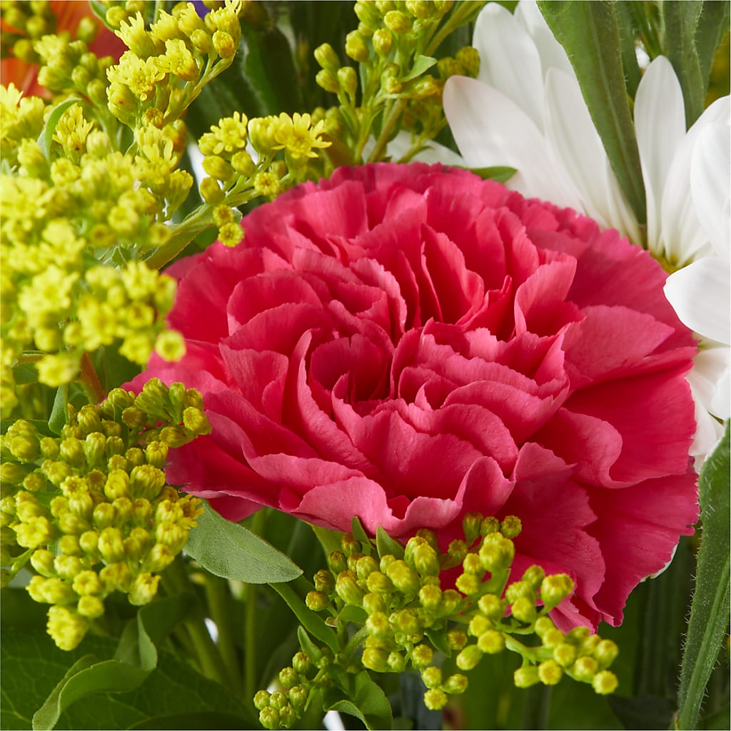 Oopsie Daisy Bouquet – COBORN'S INC FLORAL SHOPPES, Saint Cloud MN