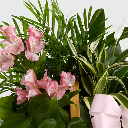 Living Spirit Dishgarden – COBORN'S INC FLORAL SHOPPES, Saint Cloud MN