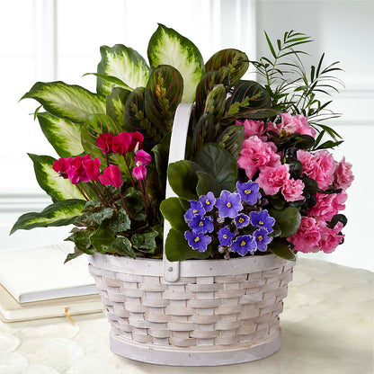 Peaceful Garden Planter – COBORN'S INC FLORAL SHOPPES, Saint Cloud MN
