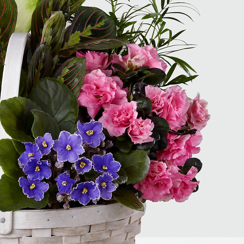 Peaceful Garden Planter – COBORN'S INC FLORAL SHOPPES, Saint Cloud MN