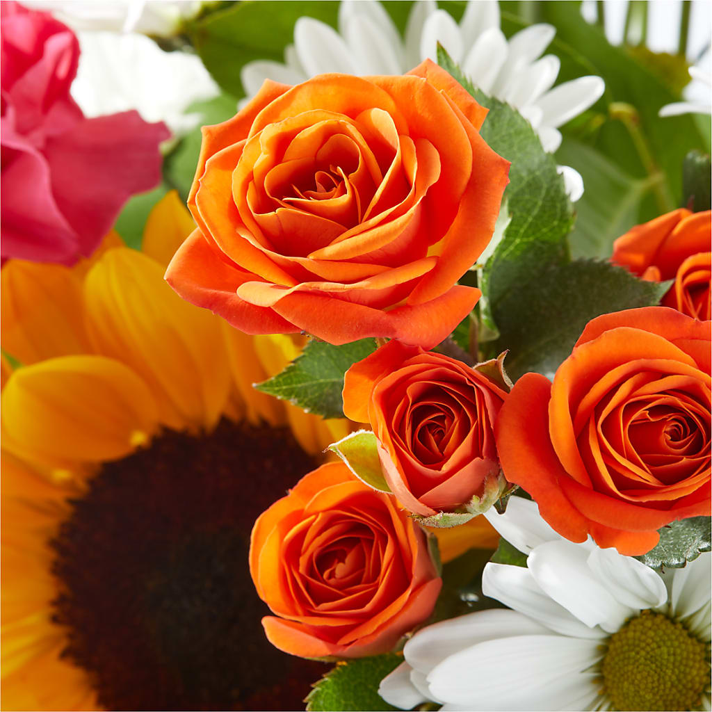 Sun-drenched Blooms Bouquet – COBORN'S INC FLORAL SHOPPES, Saint Cloud MN