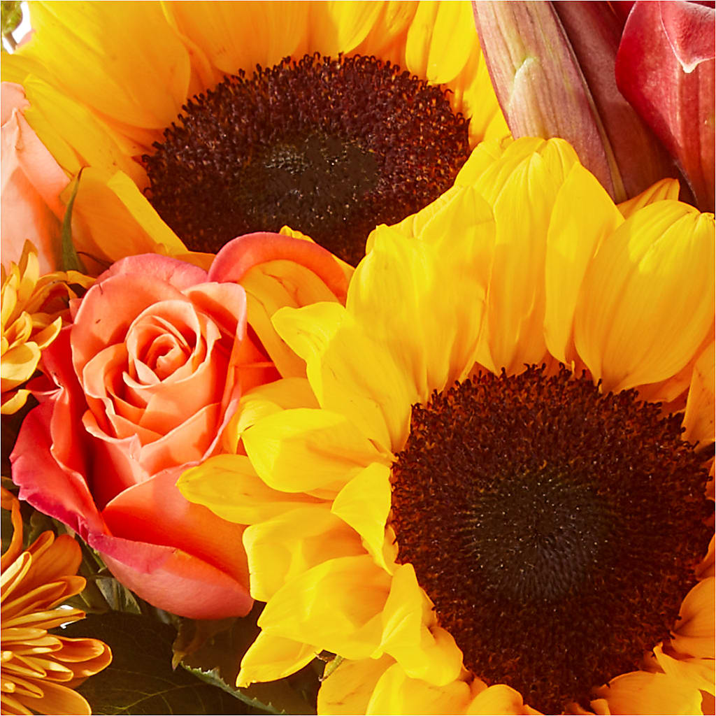 Acorn Lane Bouquet – COBORN'S INC FLORAL SHOPPES, Saint Cloud MN