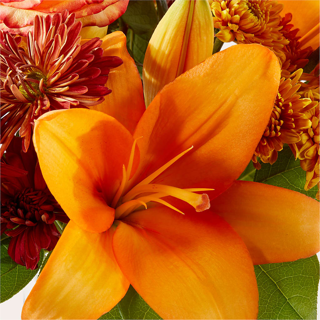 Autumnal Aroma Bouquet – COBORN'S INC FLORAL SHOPPES, Saint Cloud MN