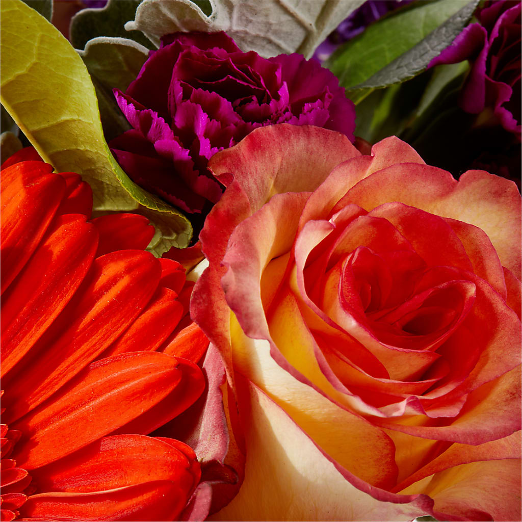 Sangria Bouquet – COBORN'S INC FLORAL SHOPPES, Saint Cloud MN