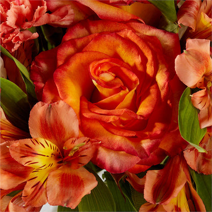 Apricot Glow Bouquet – COBORN'S INC FLORAL SHOPPES, Saint Cloud MN