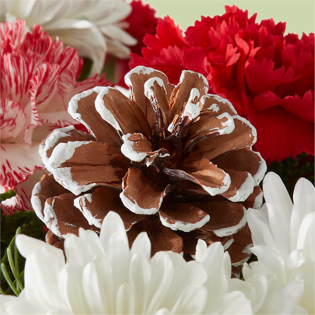 Candy Cane Lane Bouquet – COBORN'S INC FLORAL SHOPPES, Saint Cloud MN