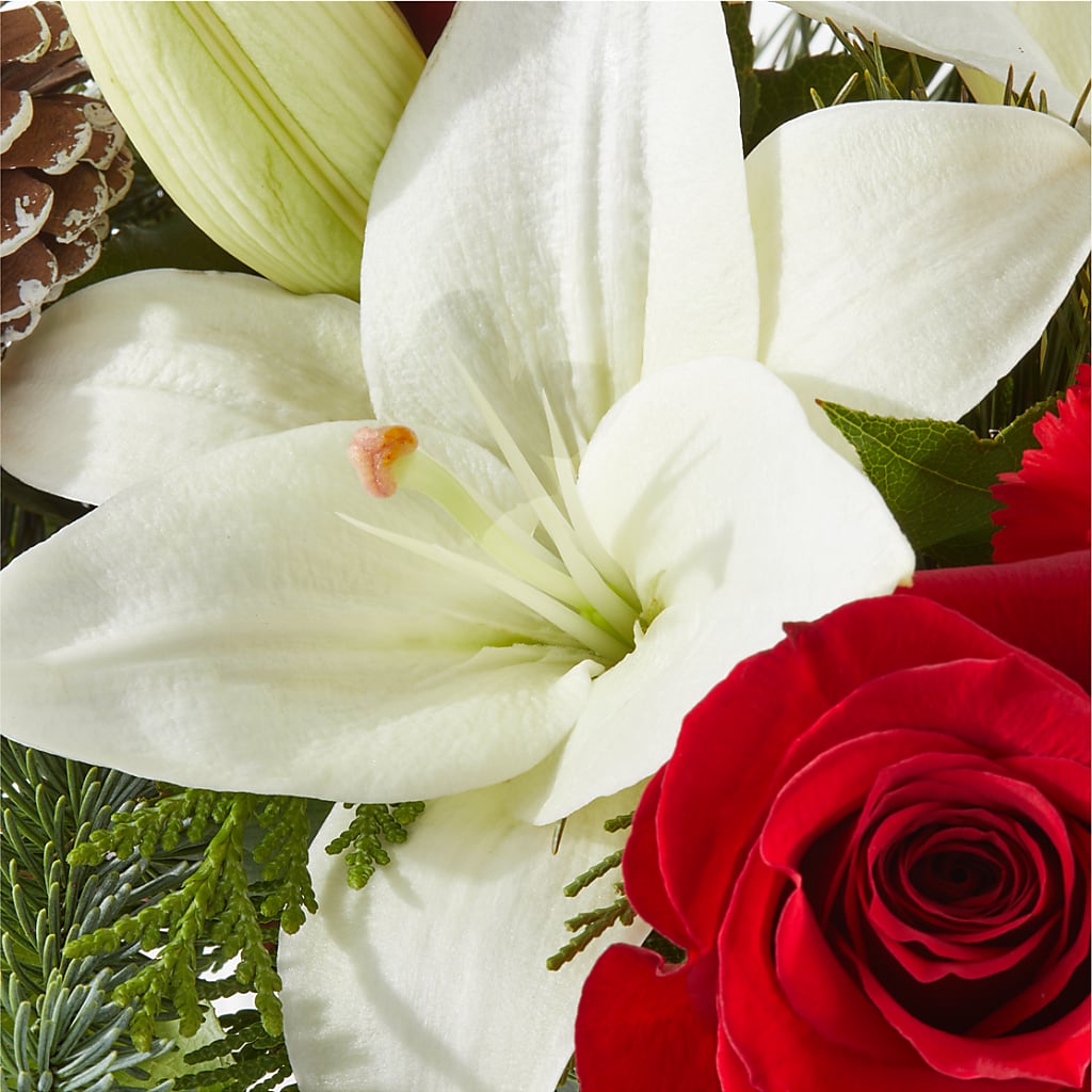 Oh So Jolly Bouquet – COBORN'S INC FLORAL SHOPPES, Saint Cloud MN