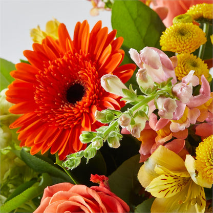 Autumn Sunshine Bouquet – COBORN'S INC FLORAL SHOPPES, Saint Cloud MN