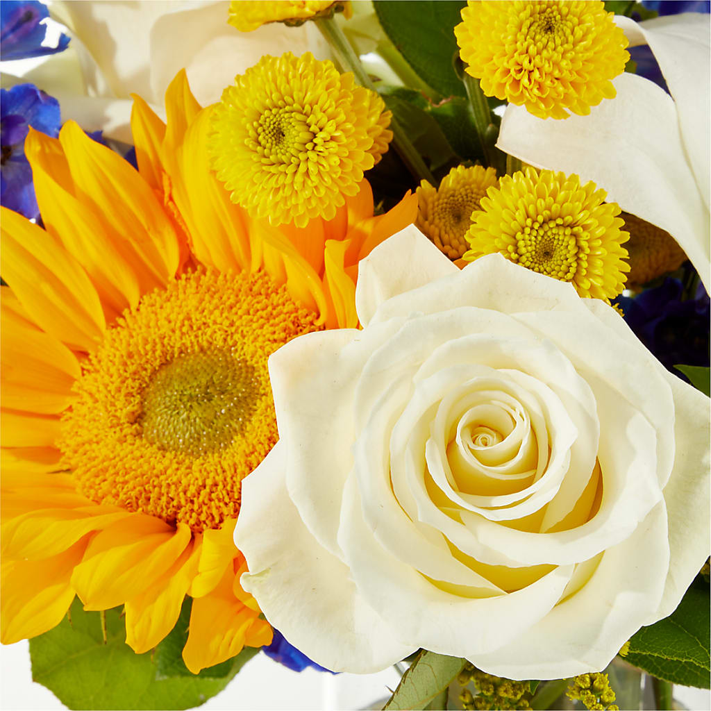 Stargazing Bouquet – COBORN'S INC FLORAL SHOPPES, Saint Cloud MN