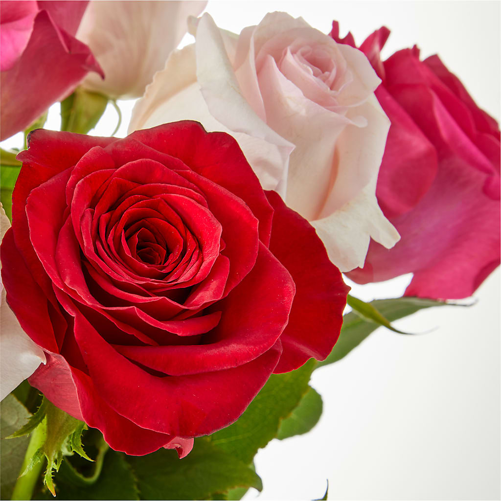 Charming Rose Bouquet – COBORN'S INC FLORAL SHOPPES, Saint Cloud MN