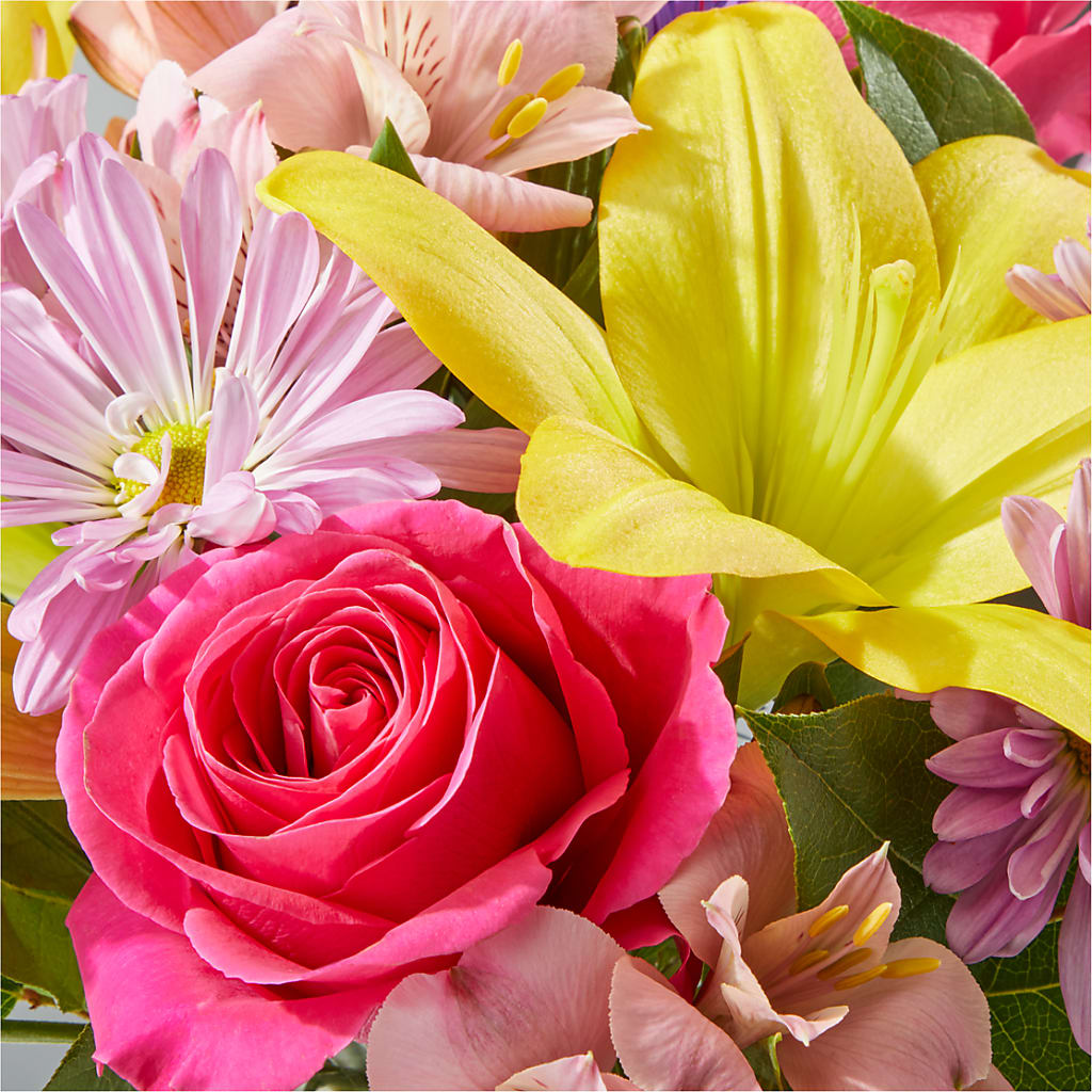 Sprinkles Bouquet – COBORN'S INC FLORAL SHOPPES, Saint Cloud MN