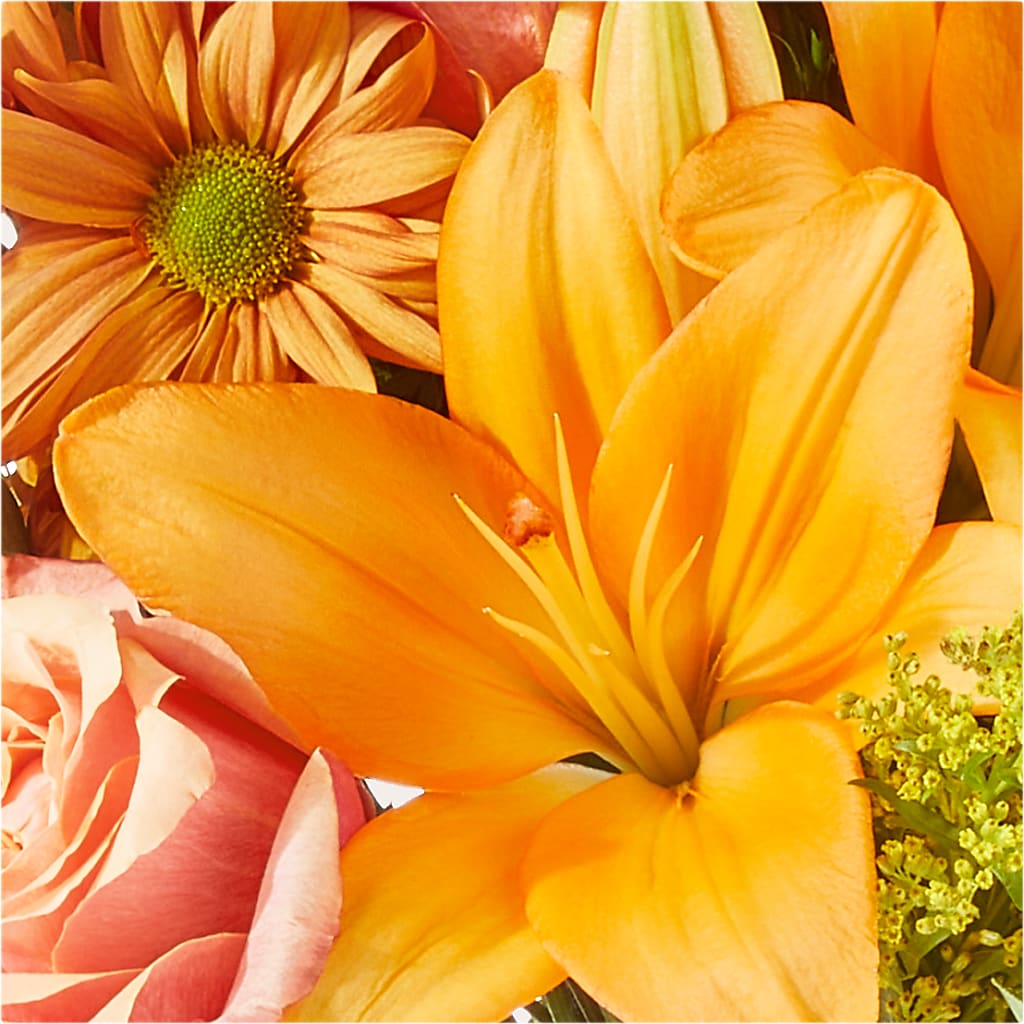 Harvest Hayride Bouquet – COBORN'S INC FLORAL SHOPPES, Saint Cloud MN