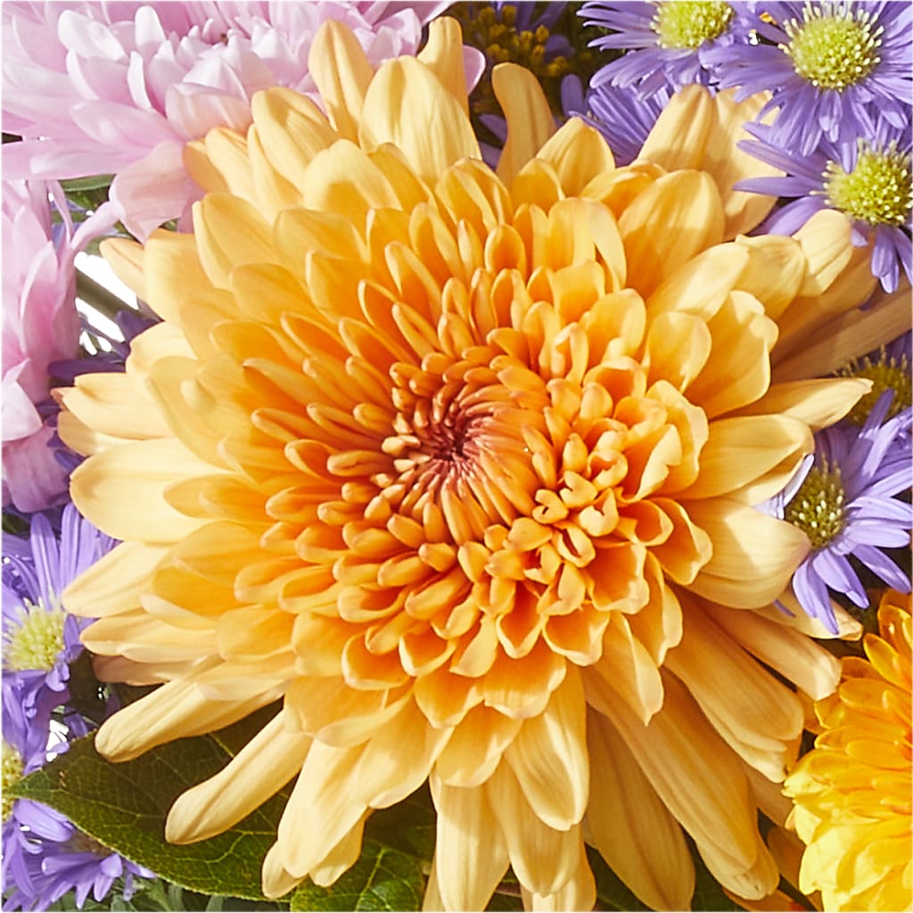 Countryside Bouquet – COBORN'S INC FLORAL SHOPPES, Saint Cloud MN