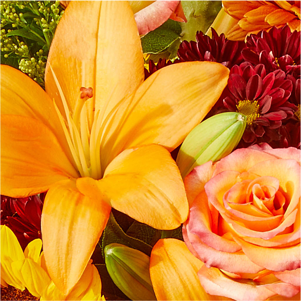 Seasons Change Bouquet – COBORN'S INC FLORAL SHOPPES, Saint Cloud MN